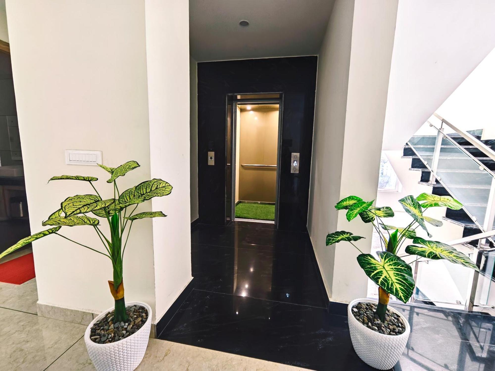 Hotel Pines And Peeks By Tws Hotels ダルハウジ エクステリア 写真